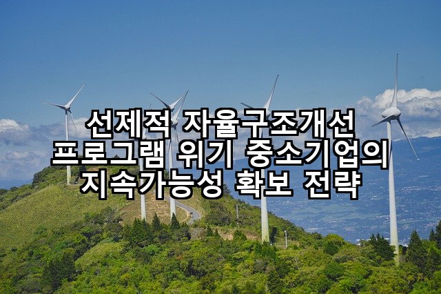 선제적 자율구조개선 프로그램 위기 중소기업의 지속가능성 확보 전략